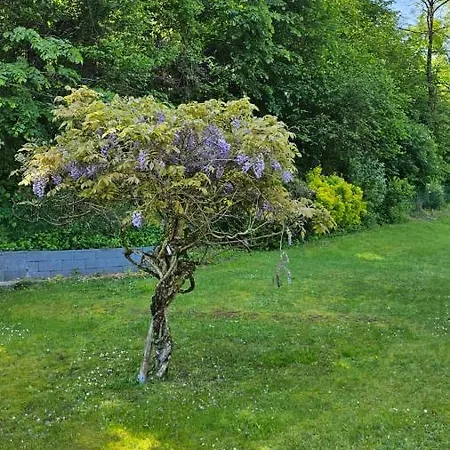 Holiday home La Moraine